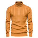 Striped Turtleneck Sweater