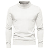 Solid Turtleneck Sweater