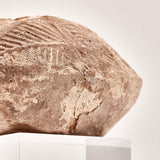 Arab-Byzantine Oil Lamp // 7th-8th century AD
