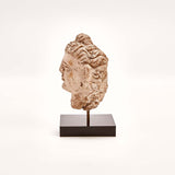 Indus Valley Head of Buddha // 4th - 5th Century AD