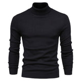 Turtleneck Sweater