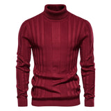 Striped Turtleneck Sweater