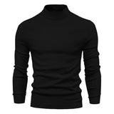 Solid Turtleneck Sweater