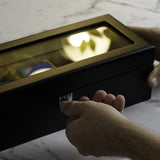 Raceday Monte Carlo 5-Slot Collector Box // Black