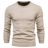 Crewneck Sweater