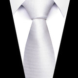 Formal Men's Necktie // Platinum Grid Classic